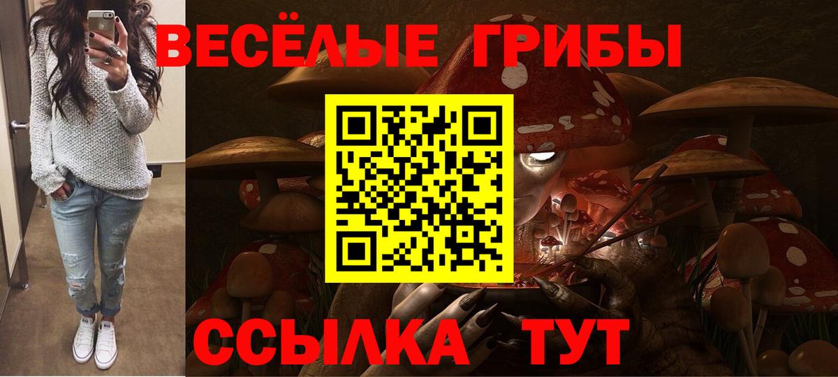 Галлюциногенные грибы Psilocybine cubensis  Вход с VPN  Старая Русса 